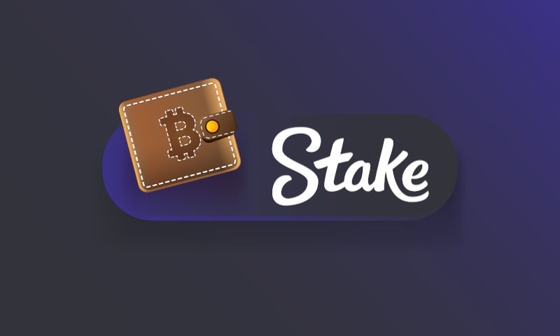 Payment Methods Stake Casino