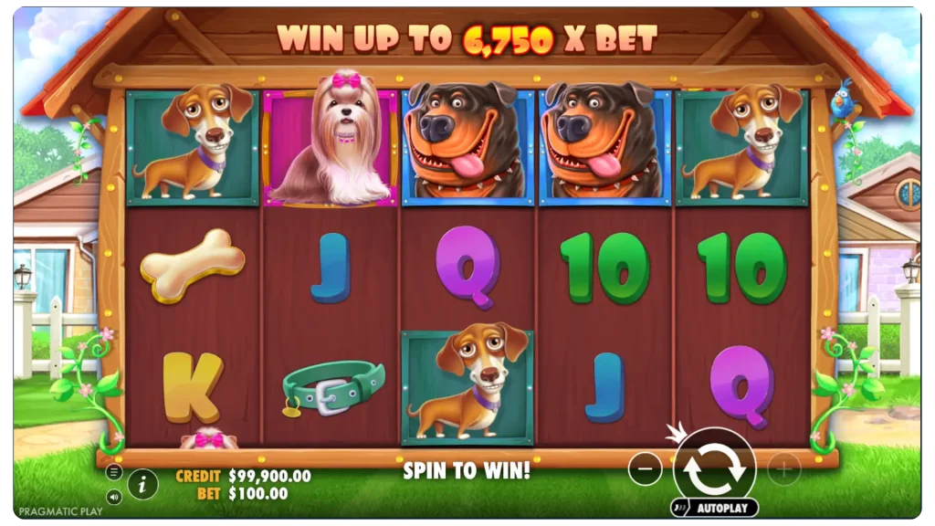 Stake Casino Pragmatic Play